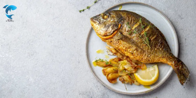 Grilled Dorado fish recipes