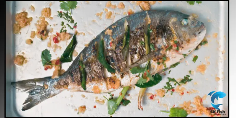 gilt head bream recipe