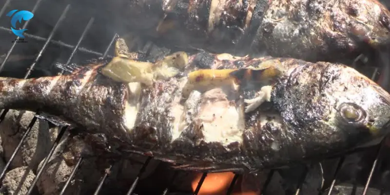 How to prepare dorado fish