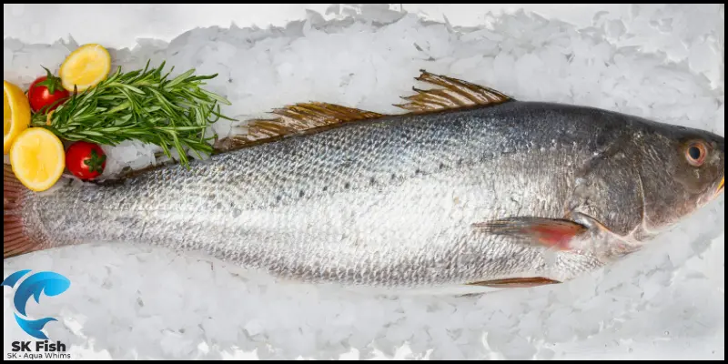 bluefish recipe