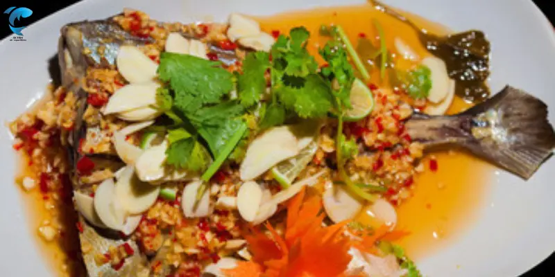 delicious steamed snapper fish recipe