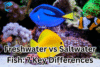 The 7 Major Differences Between Freshwater fish and Saltwater Fish - Post Thumbnail