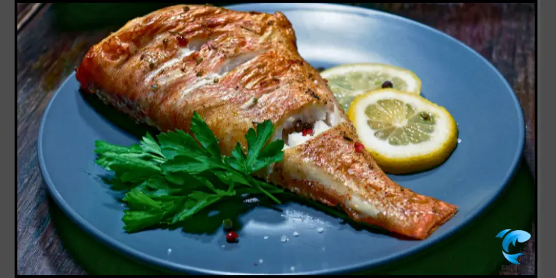 rockfish recipes